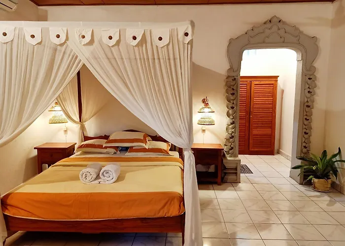 Binaria Museum Hotel Lovina