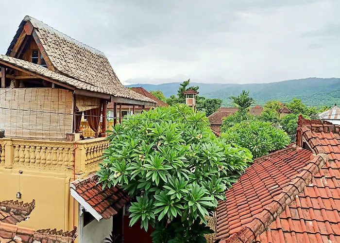 Binaria Museum Hotel Lovina